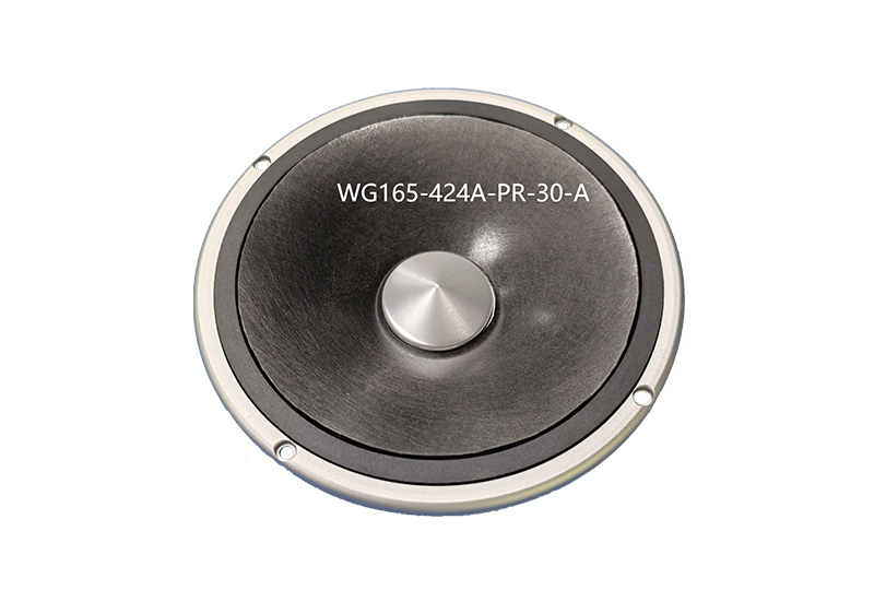 WG165-424A-PR-30-A