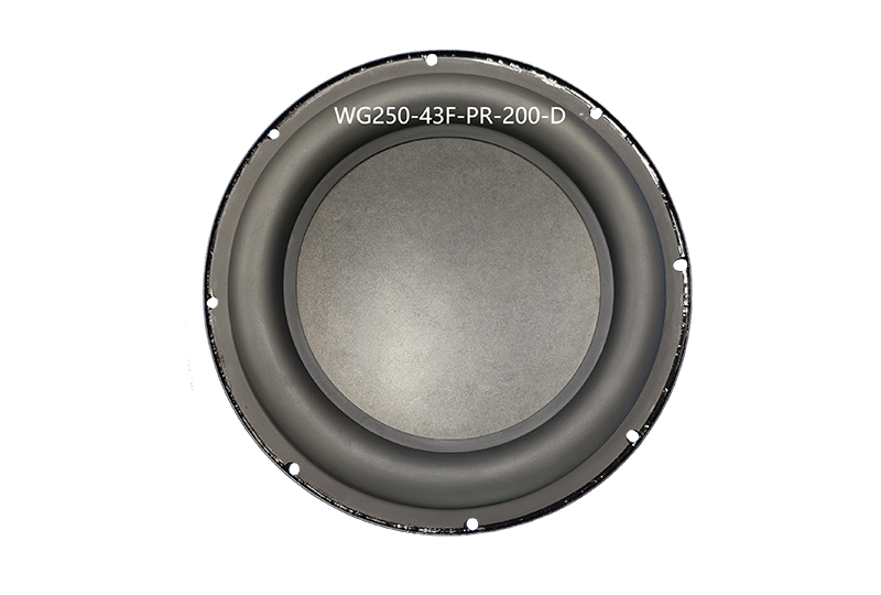 WG250-43F-PR-200-D
